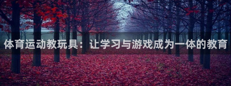 球客岛