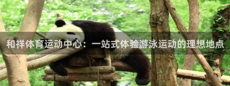 球客岛