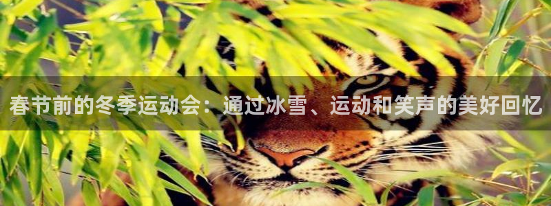 球客岛