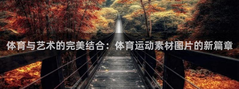 球客岛